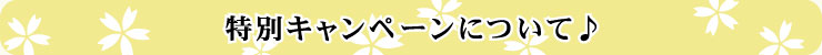 Ly[N͂